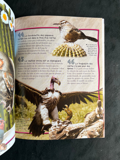 100 infos à connaître - les oiseaux