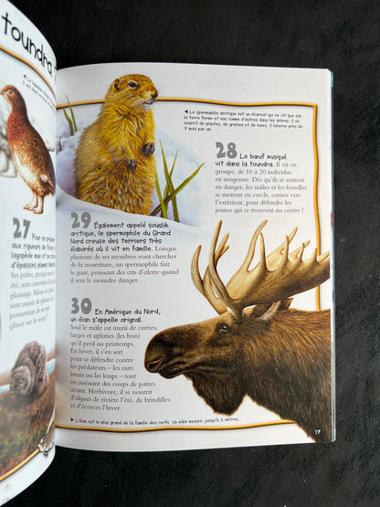 100 infos à connaître - les pôles