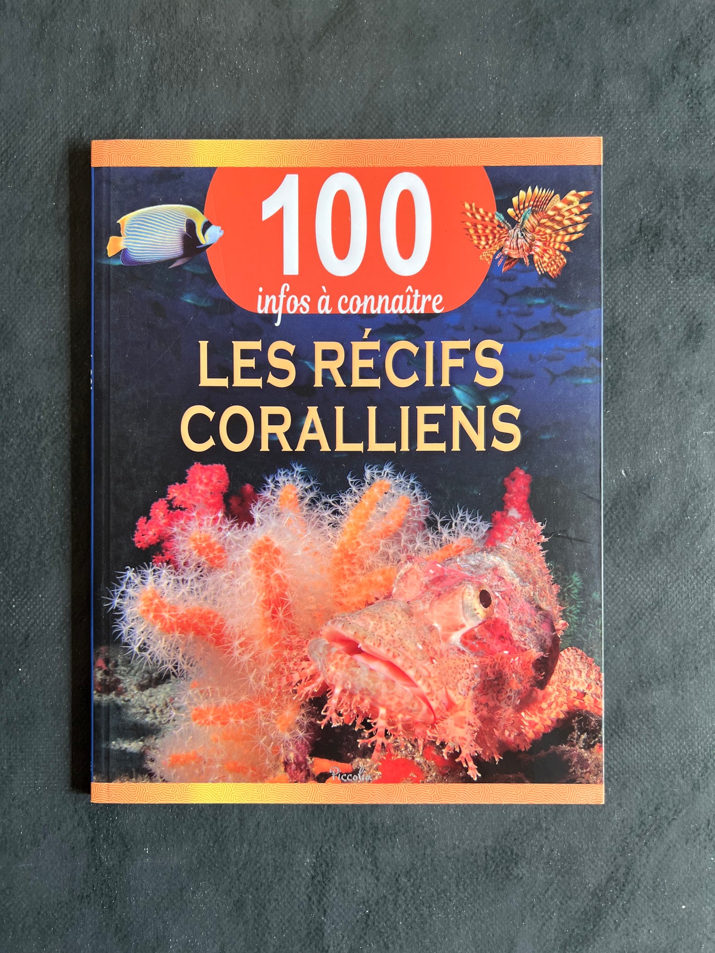 100 infos à connaître - les récifs coralliens