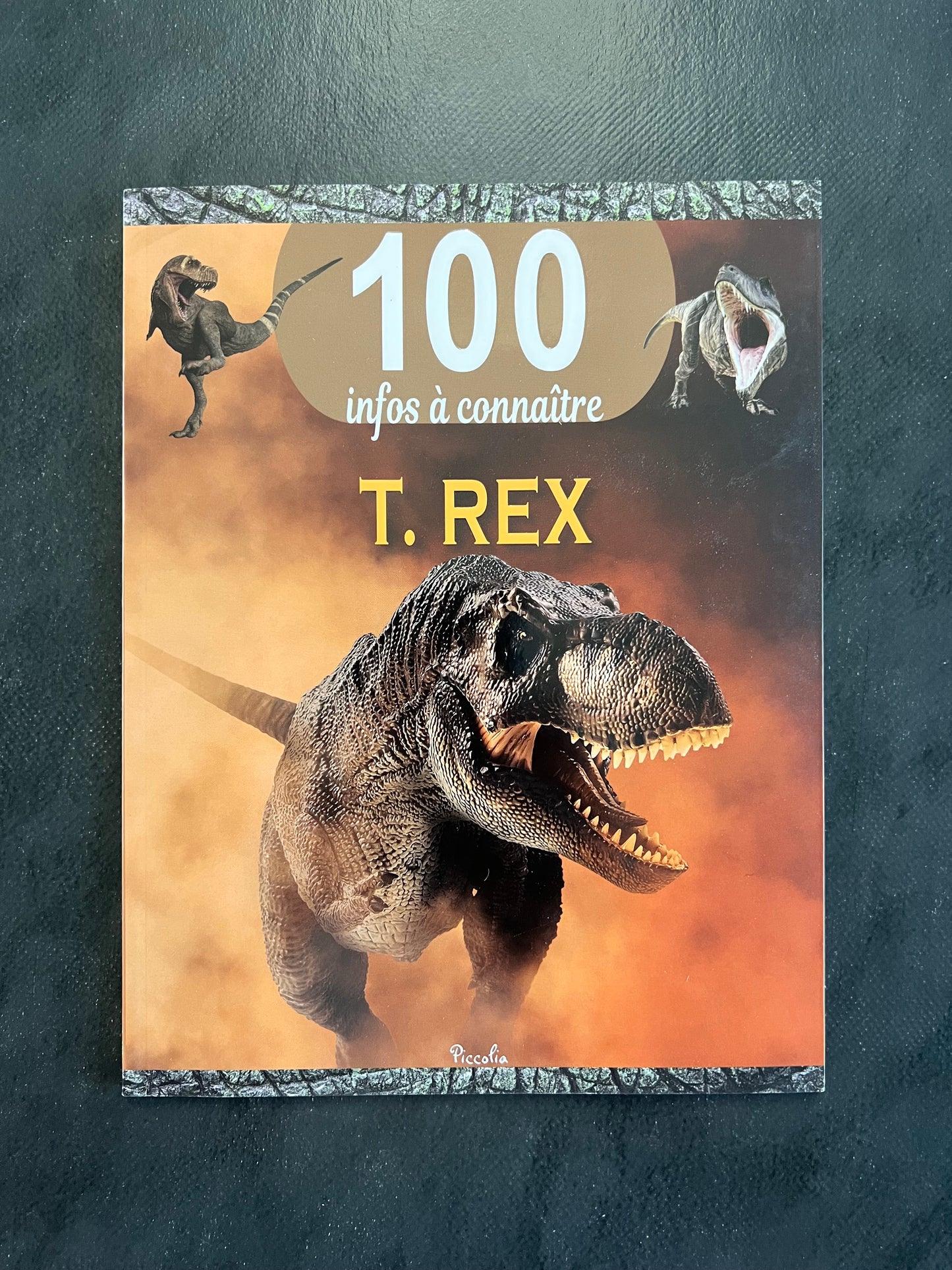 100 infos à connaître - T-Rex | Documentaire jeunesse 7-10 ans
