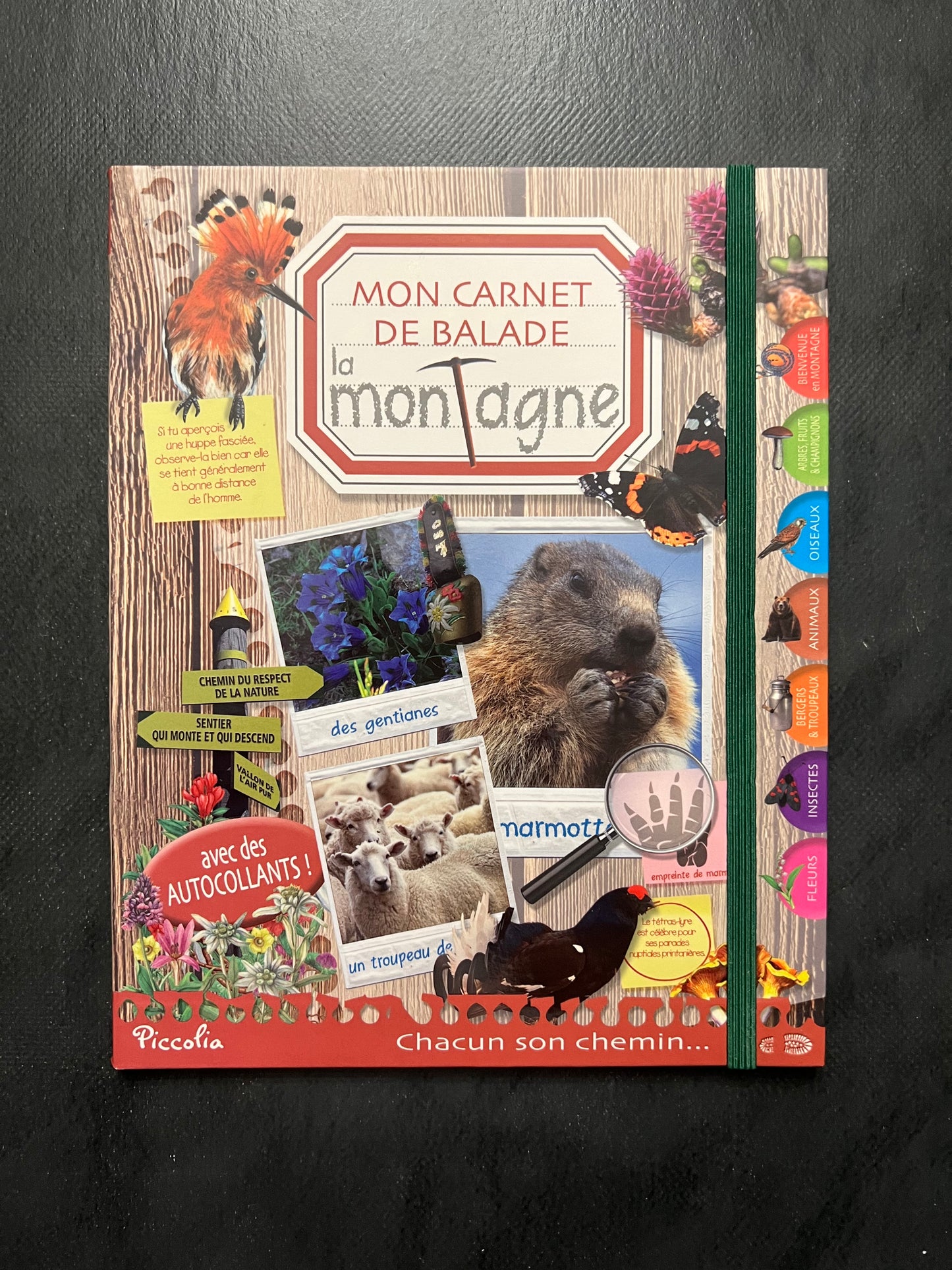 Mon carnet de balade - la montagne