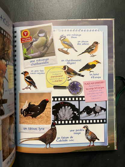 Mon carnet de balade - la montagne