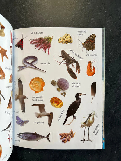 Mon carnet de balade - les bords de mer