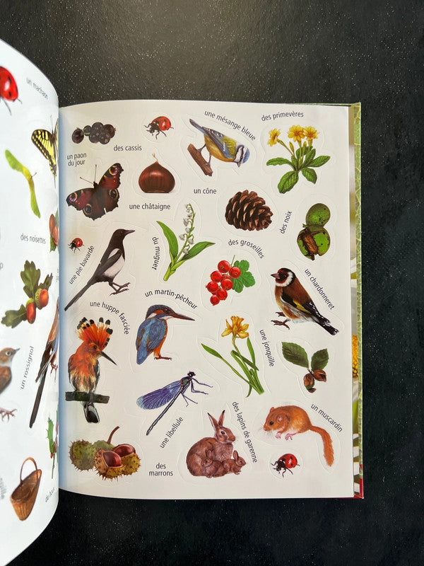 Mon carnet de balade - la forêt