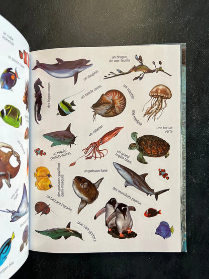 Mon carnet de balade - l’aquarium