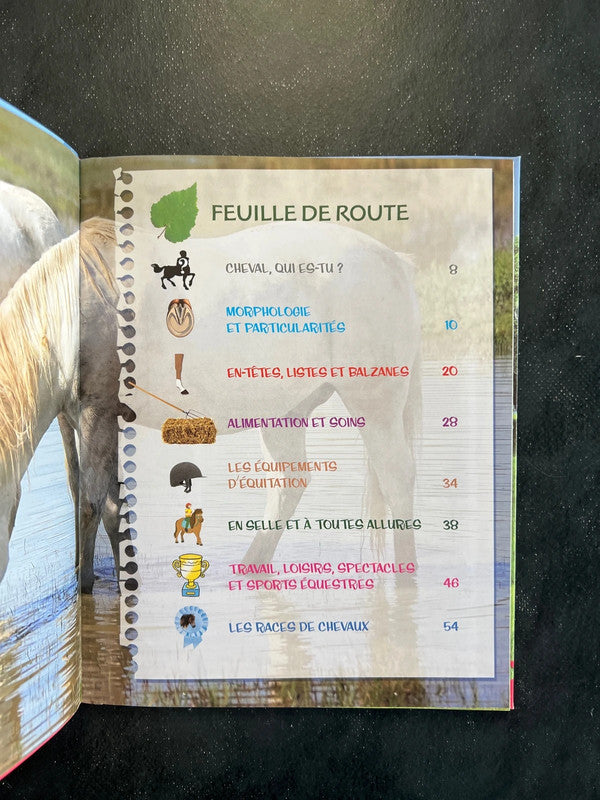 Mon carnet de balade - à cheval