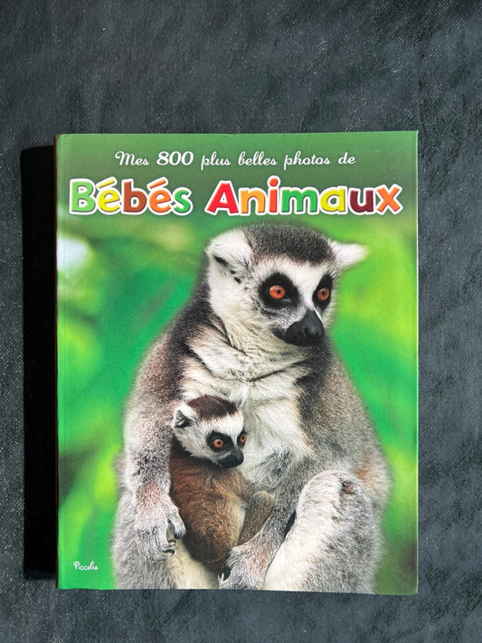 Imagier - bébés animaux