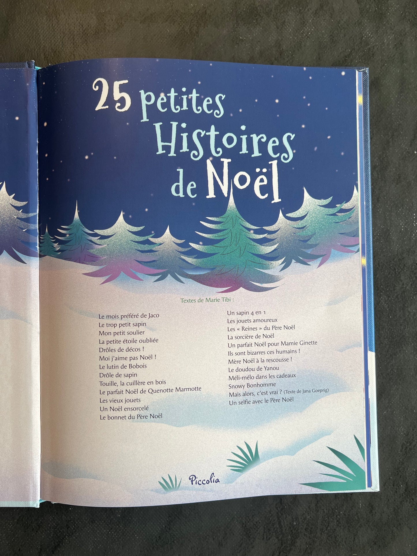 25 petites histoires de Noël