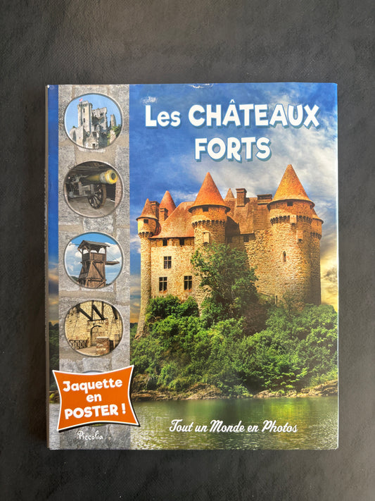 Tout un monde en photos - les châteaux forts