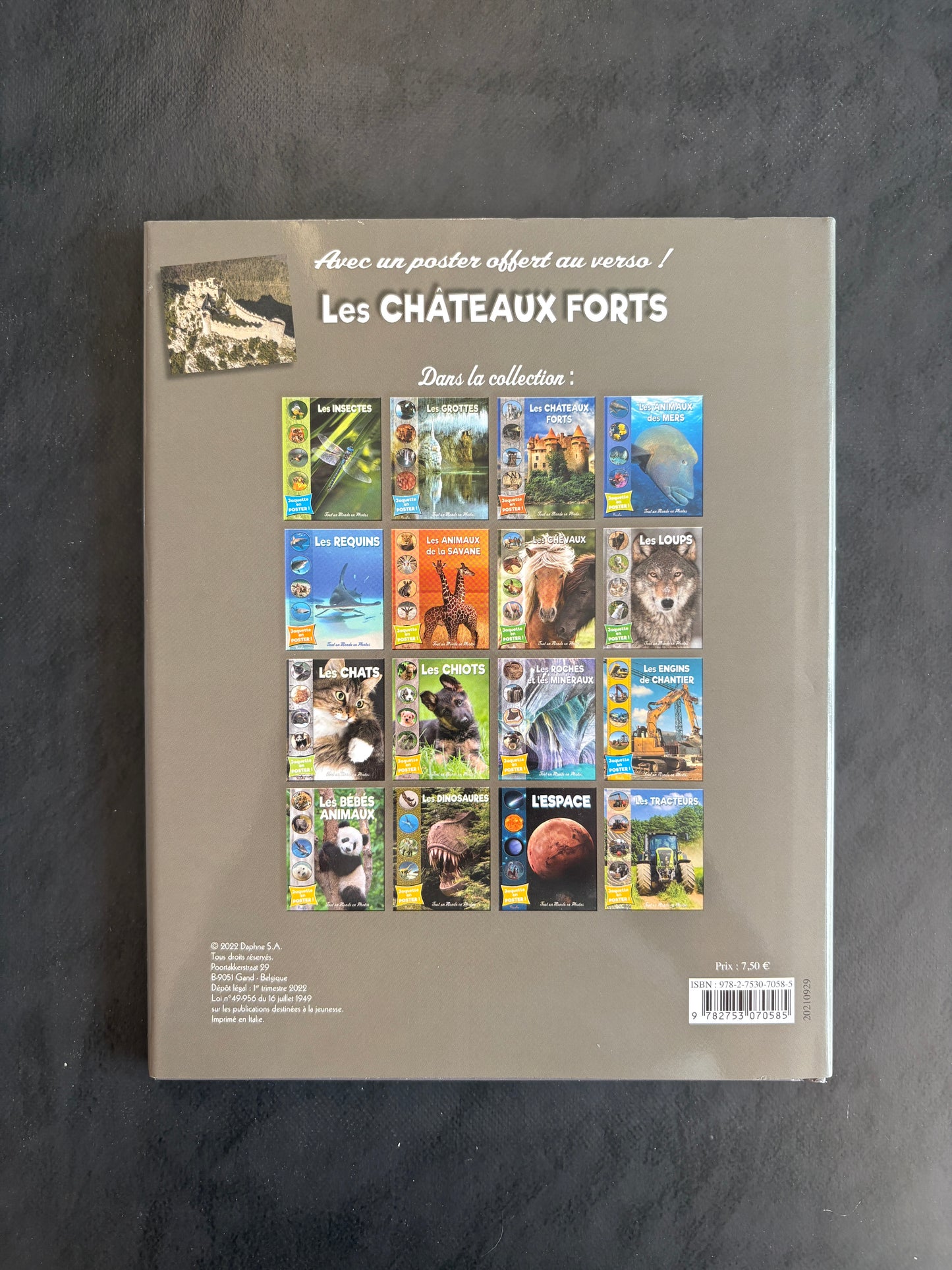 Tout un monde en photos - les châteaux forts