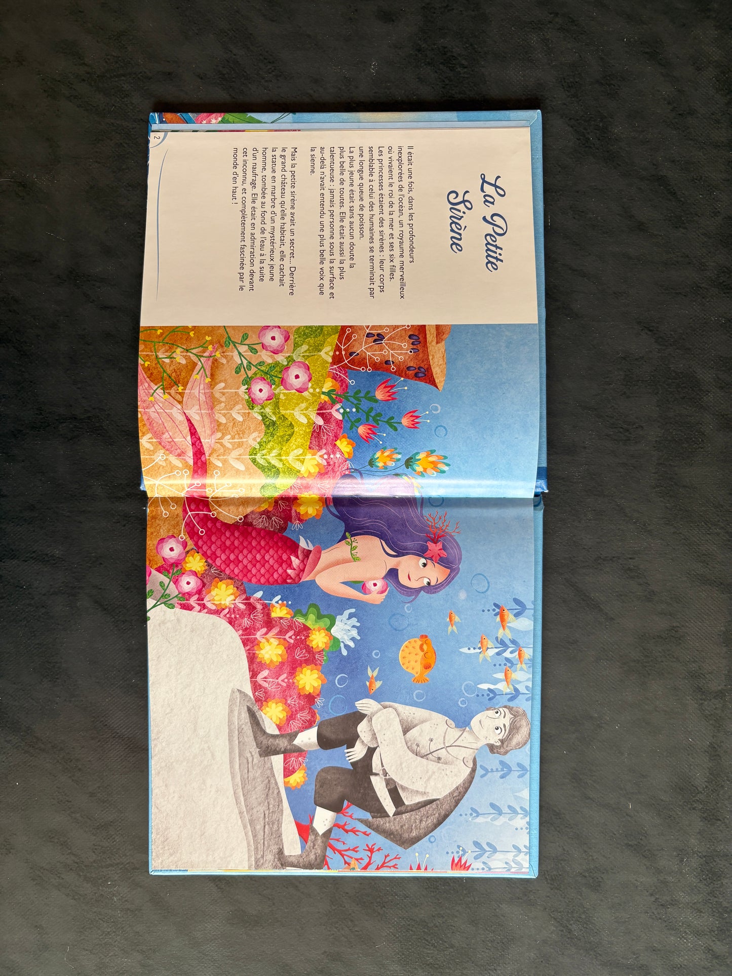 Livre - La Petite Sirène