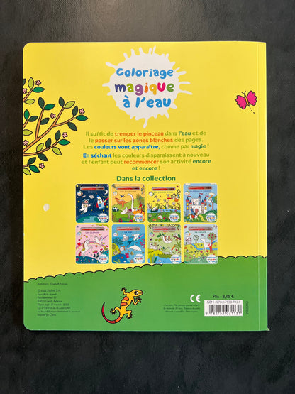 Coloriage magique à l'eau - les petites bêtes