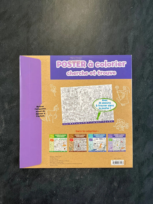 Poster à colorier cherche et trouve - le pays magique