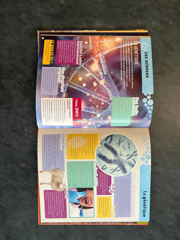 Tout comprendre - les sciences