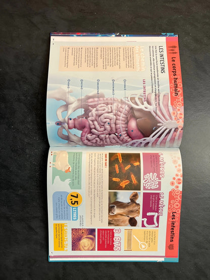 Tout comprendre - le corps humain