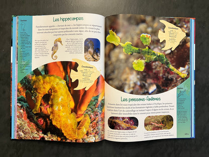 Mon grand animalier de la mer