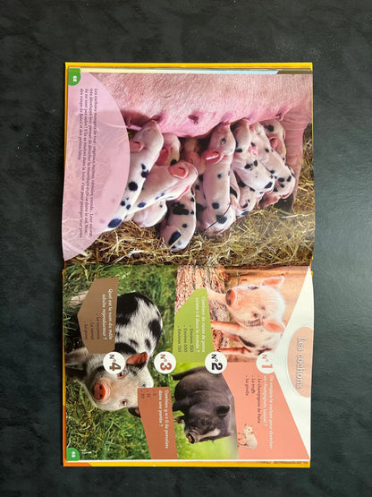 160 questions/reponses - les animaux