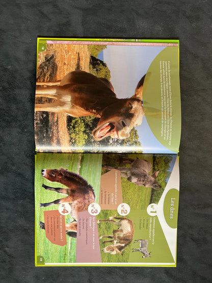 40 questions/réponses - les animaux de la ferme