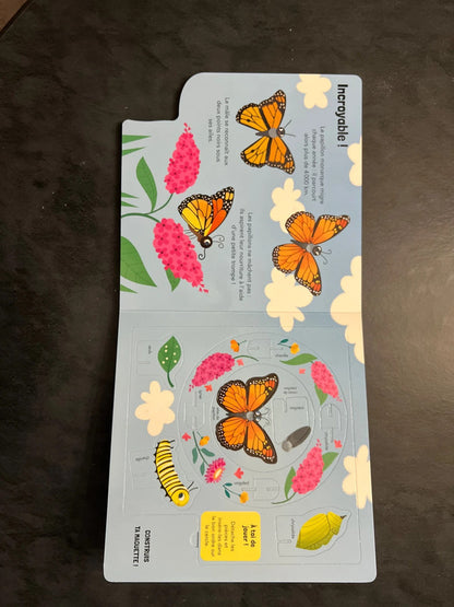 Quand la chenille devient papillon