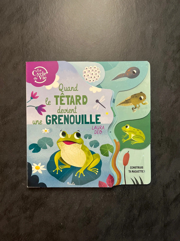 Quand le têtard devient grenouille