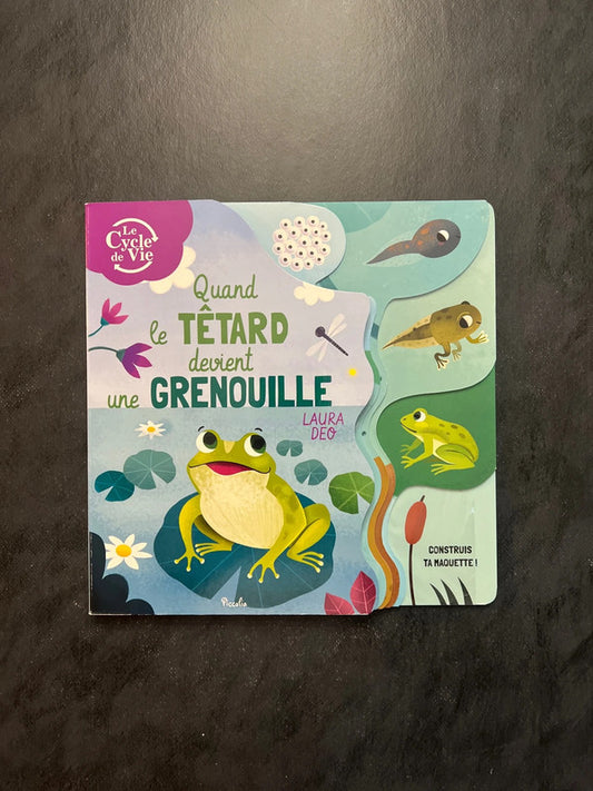 Quand le têtard devient grenouille