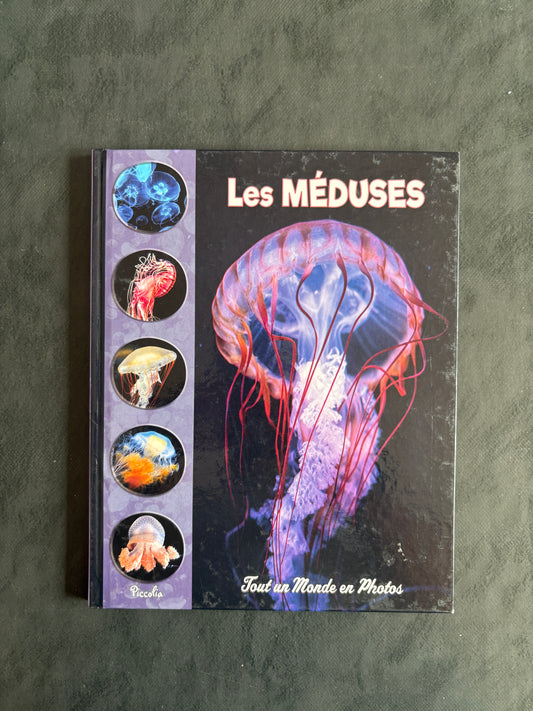 Tout un monde en photo - Les méduses