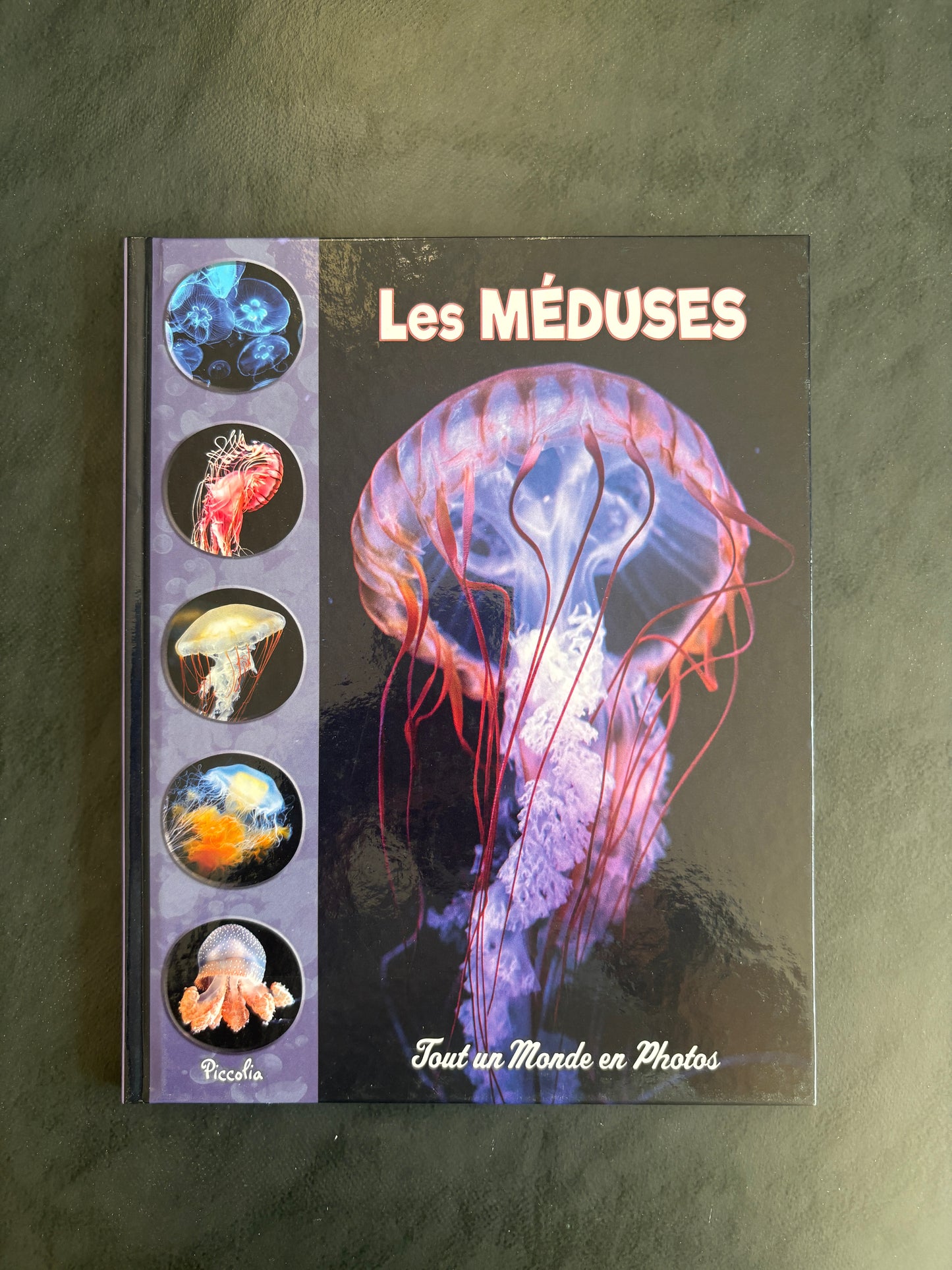 Tout un monde en photos - les méduses