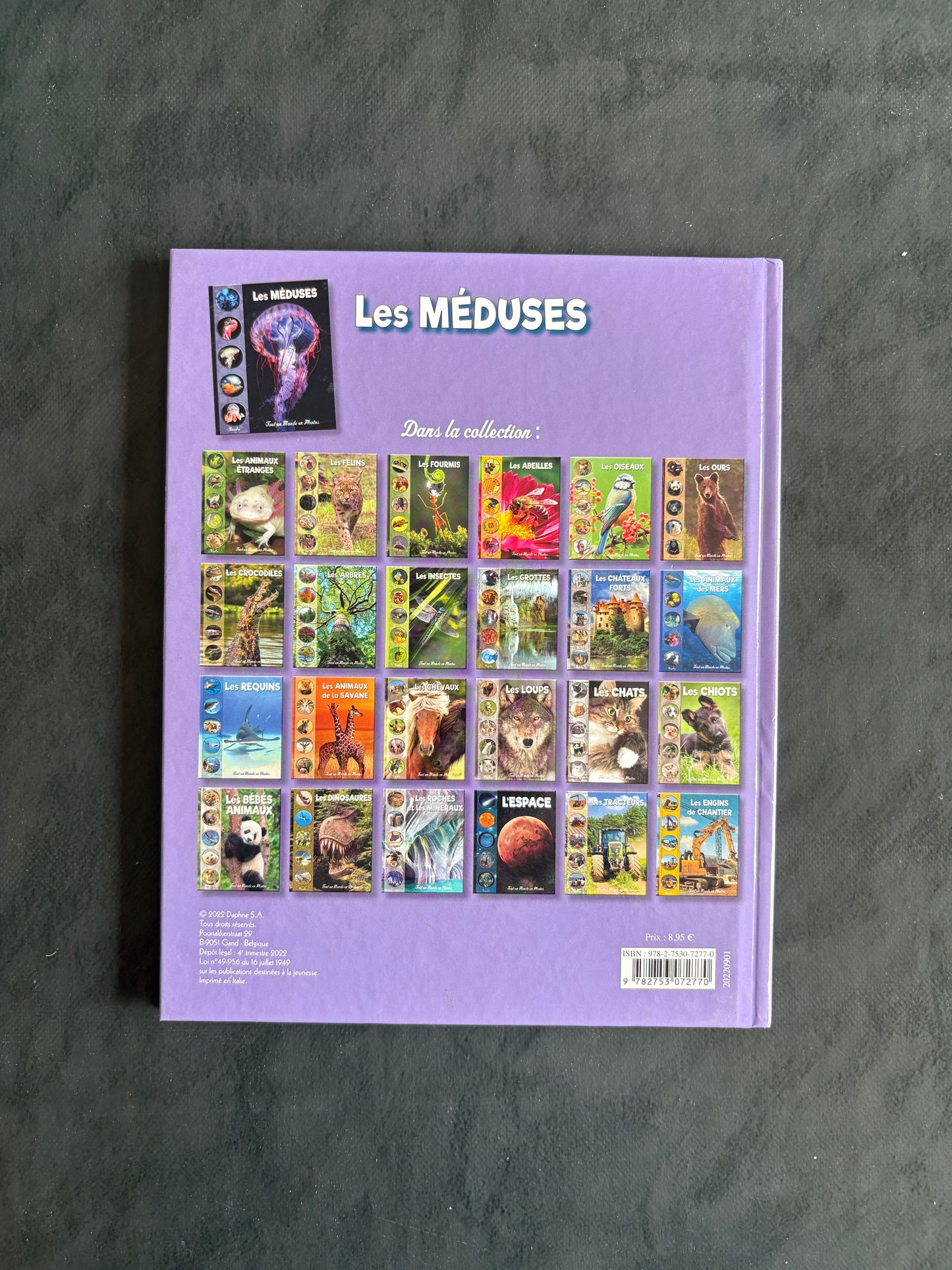 Tout un monde en photo - Les méduses