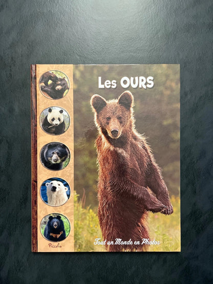 Tout un monde en photos - les ours
