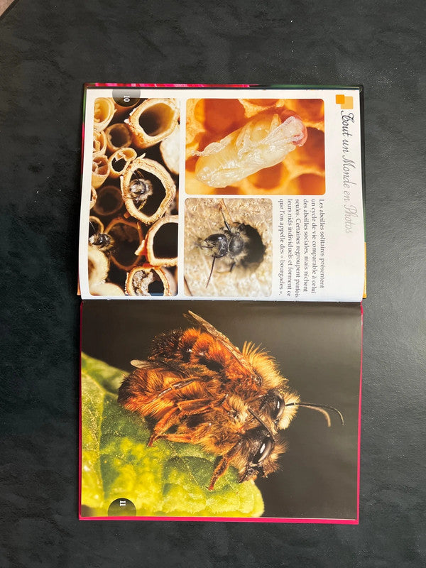 Tout un monde en photos - les abeilles