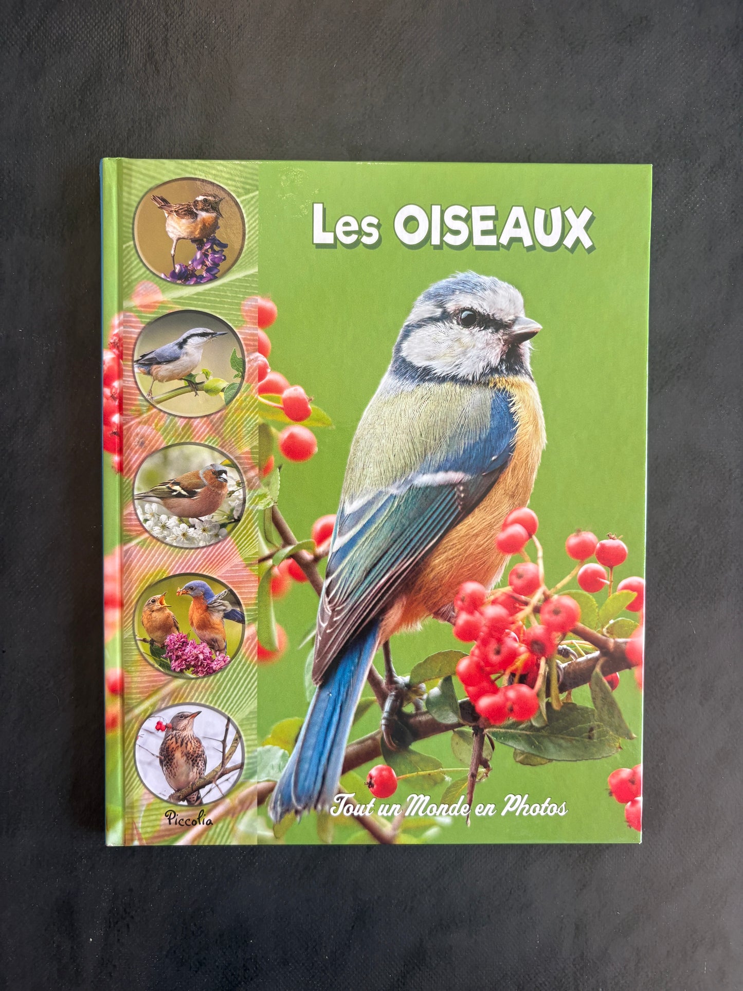 Tout un monde en photos - les oiseaux