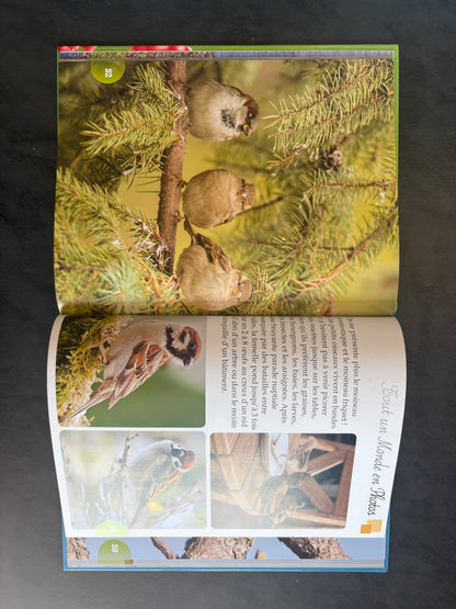 Tout un monde en photos - les oiseaux