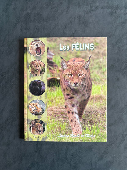 Tout un monde en photo - Les Félins
