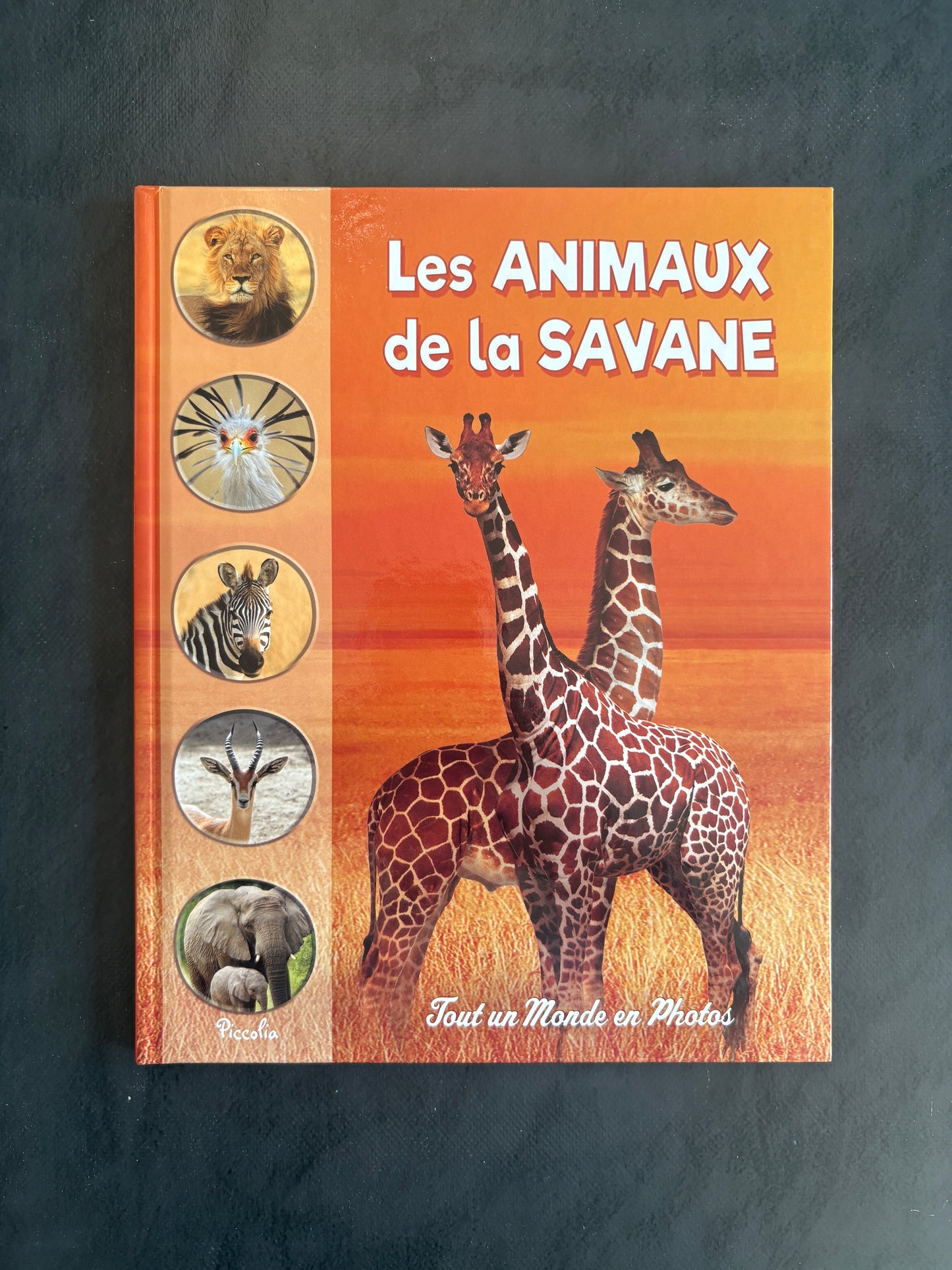 Tout un monde en photos - les animaux sauvages