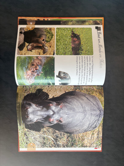 Tout un monde en photos - les animaux sauvages