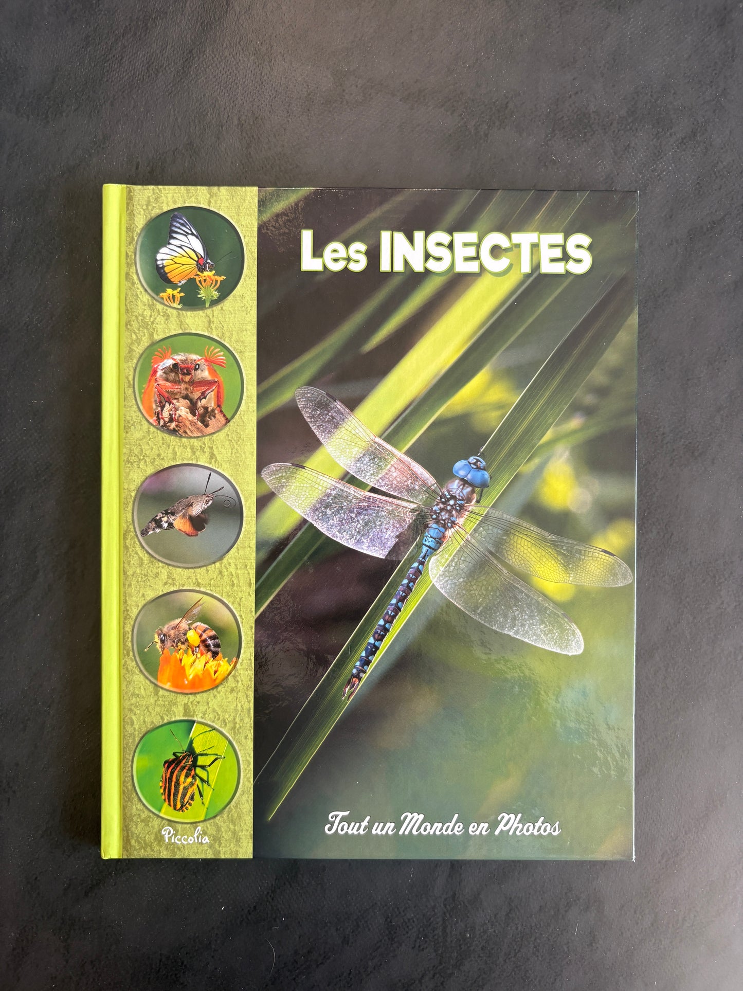Tout un monde en photos - les insectes