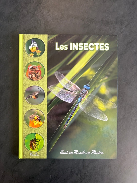 Tout un monde en photos - les insectes