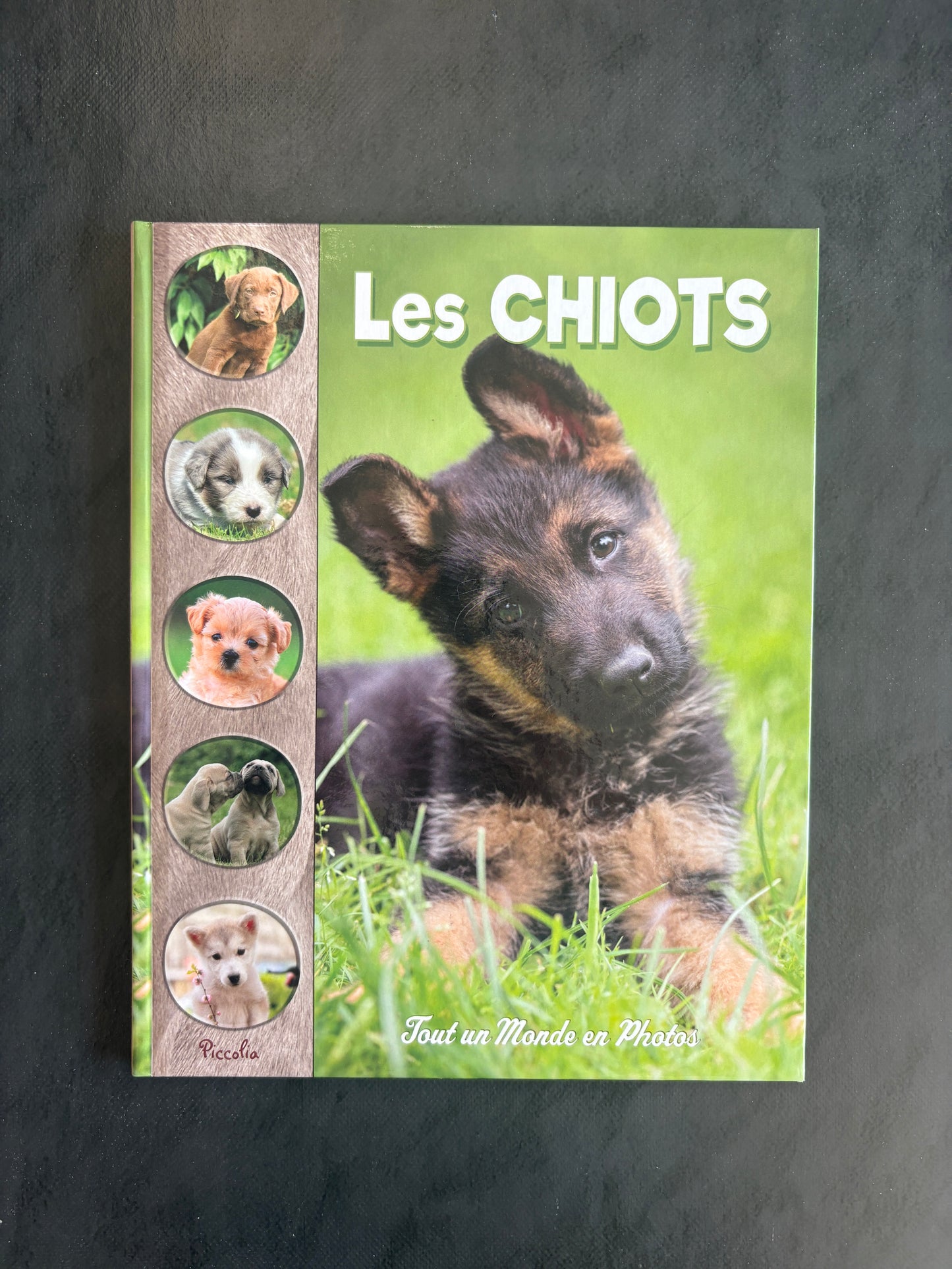 Tout un monde en photos - les chiots