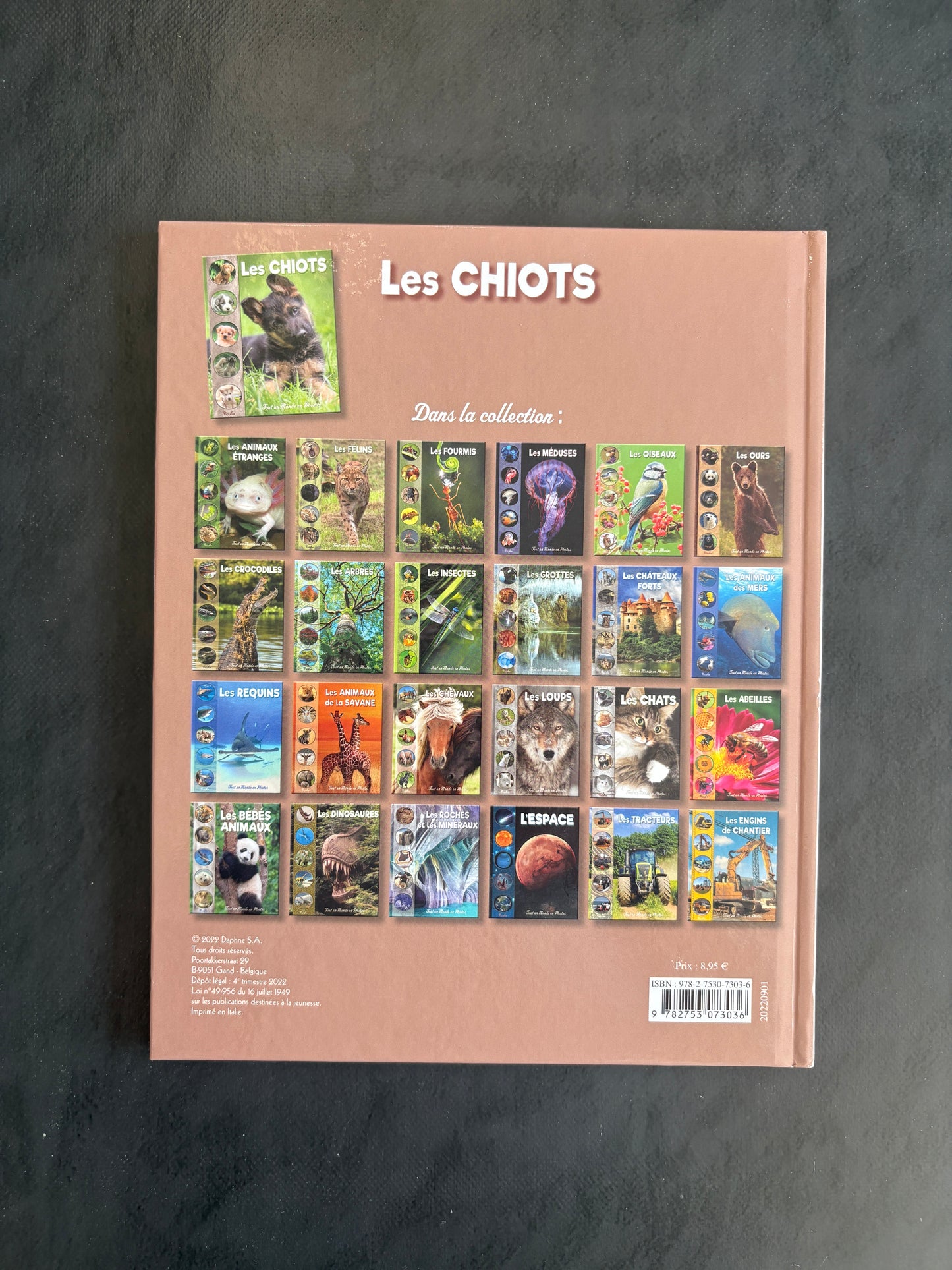 Tout un monde en photos - les chiots