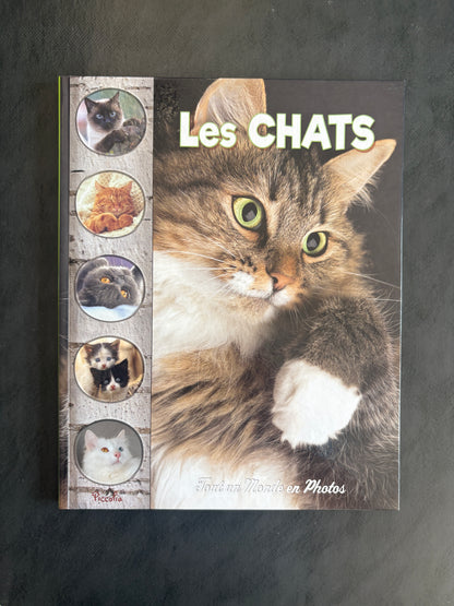 Tout un monde en photos - Les chats | Découverte dès 5 ans