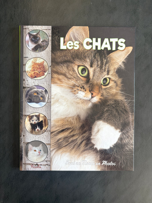 Tout un monde en photos - Les chats | Découverte dès 5 ans