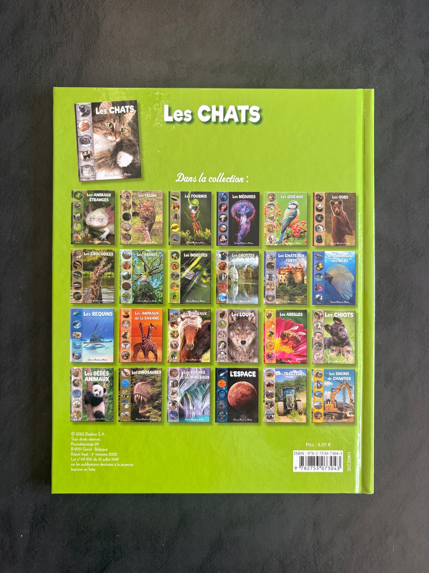 Tout un monde en photos - Les chats | Découverte dès 5 ans