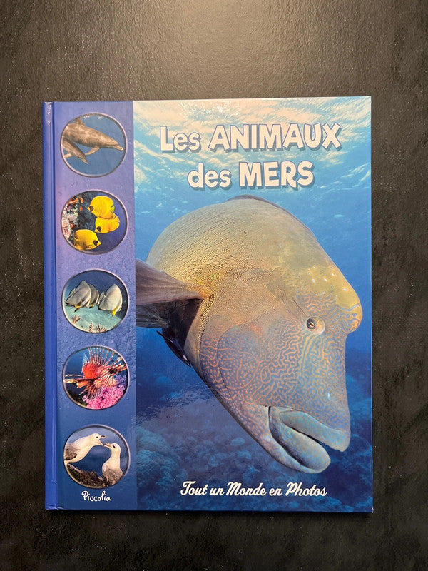 Tout un monde en photos - les animaux des mers