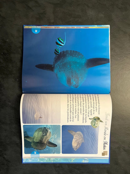 Tout un monde en photos - les animaux des mers
