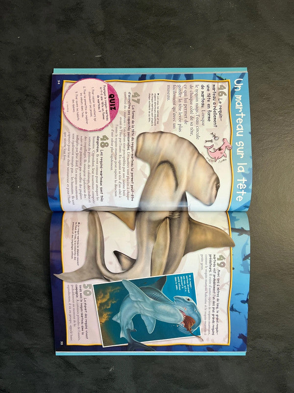 100 infos à connaître - les requins