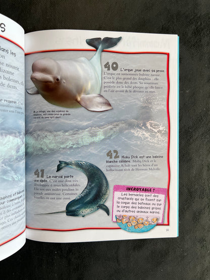 100 infos à connaître - les océans