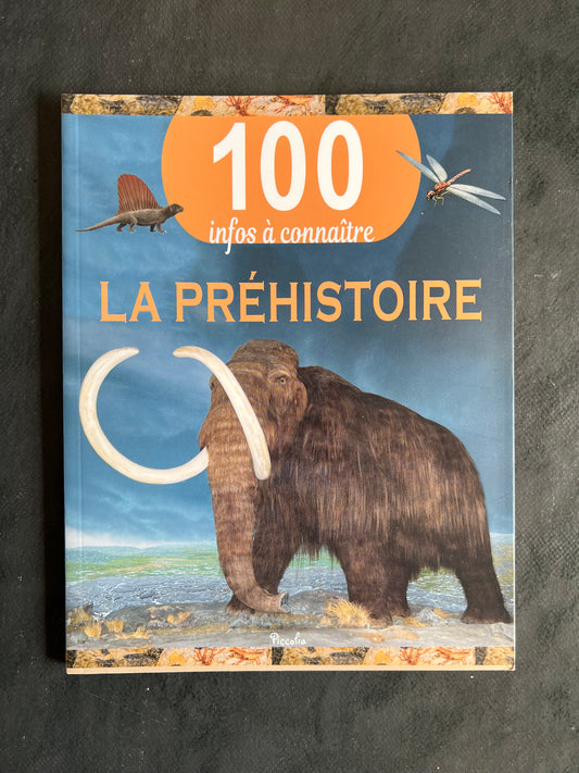 100 infos à connaître - la préhistoire