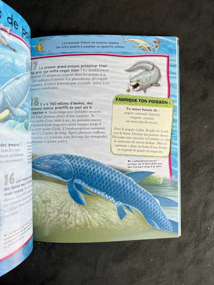 100 infos à connaître - la préhistoire