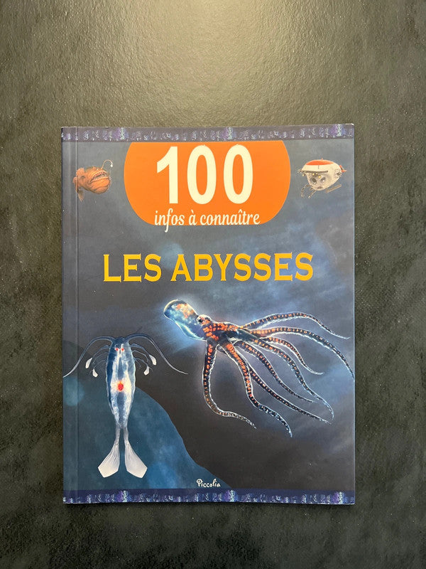 100 infos à connaître - les abysses