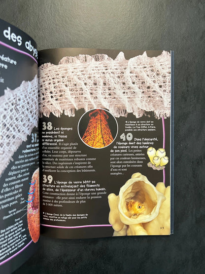 100 infos à connaître - les abysses